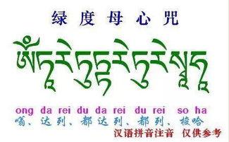 心咒视频,探寻心灵深处的宁静与智慧