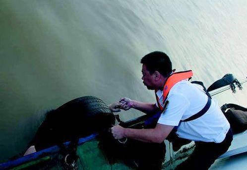 郑燕姿韩漂流视频爆料,揭秘明星幕后生活