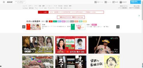 夜间福利网站日本,独特文化下的夜生活魅力