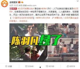 韩国追星爆料事件视频播放,揭秘明星幕后真相