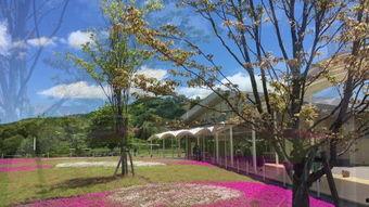 日本动漫花园学堂,探索日本动漫文化的魅力之旅