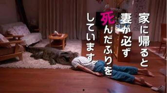 日本老婆装死,揭秘日本家庭文化中的神秘现象