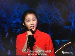 2017年春晚明星名单,璀璨星光闪耀舞台