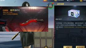 cf手游核心组体验服最新爆料,揭秘全新内容与优化升级