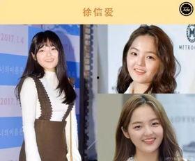 女明星y香港,女明星Y的璀璨人生