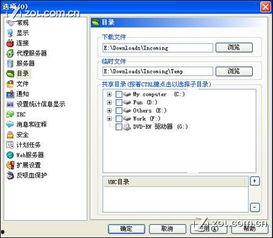 rmvb视频下载,掌握高效下载技巧